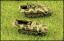 SdKfz 251/D2 GW 81mm & /D9 75mm kurz G125